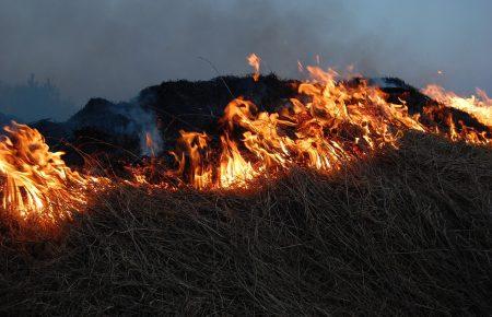 Рятувальники попередили про надзвичайний рівень пожежної небезпеки вихідними