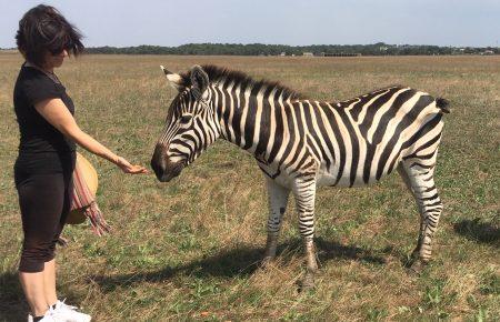 Пригоди канадійки в Асканії-Новій. Марта Дичок нарешті здійснила мрію