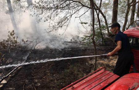 На Херсонщині горить ліс площею 5 гектарів