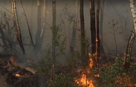 Поліція затримала підозрювану в пожежі у Чорнобильській зоні