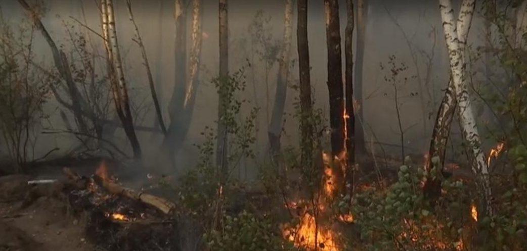 Поліція затримала підозрювану в пожежі у Чорнобильській зоні