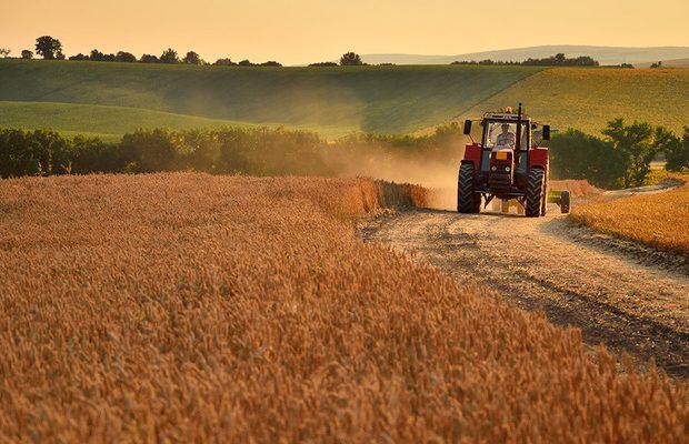 Що замовчують прихильники продажу української землі, коли посилаються на іноземний досвід?