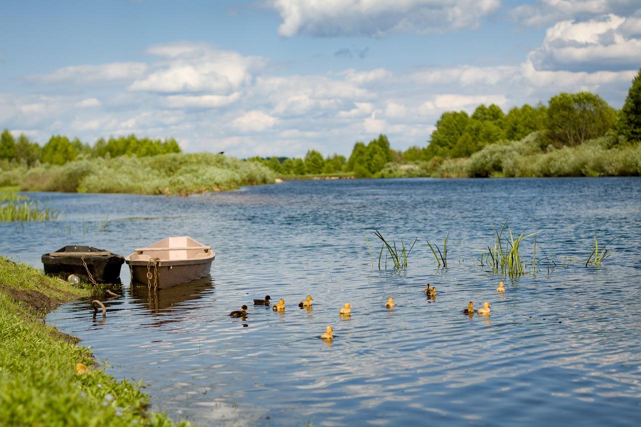 Мапа «Чиста вода»: як дізнатися, наскільки забруднена річка поруч з вами?