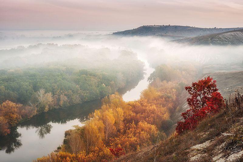 Криві Луки — місце, де починається нове життя