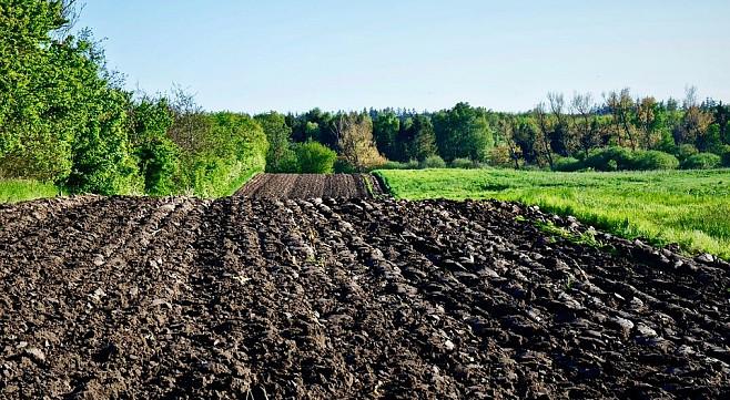 Законопроєкт про ринок землі не про продаж землі, а про її розпродаж – Ігор Рейтерович