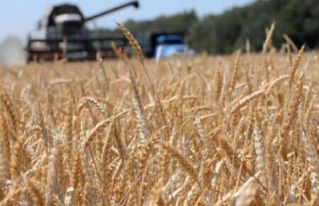 Податкові послаблення для аграріїв у прифронтових регіонах: чи відчує бізнес полегшення