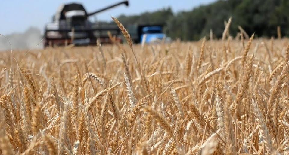 Суд розблокував майже мільярд гривень дотацій аграріям — Милованов