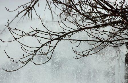 В Укргідрометцентрі попередили про погіршення погодних умов