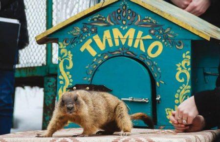 Бабак Тимко ще спить, але, сподіваємось, незабаром передбачить нам хорошу погоду  — Віктор Токарський