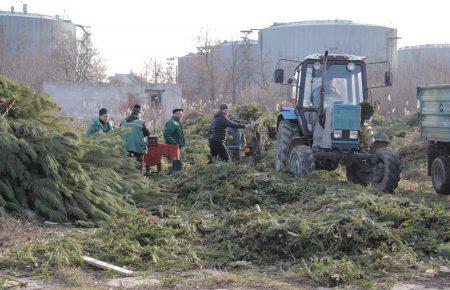 В Одесі до першого лютого новорічні ялинки можна обміняти на цукерки