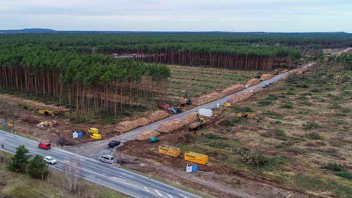 Суд у Німеччині дозволив Tesla продовжити вирубку лісу під Берліном