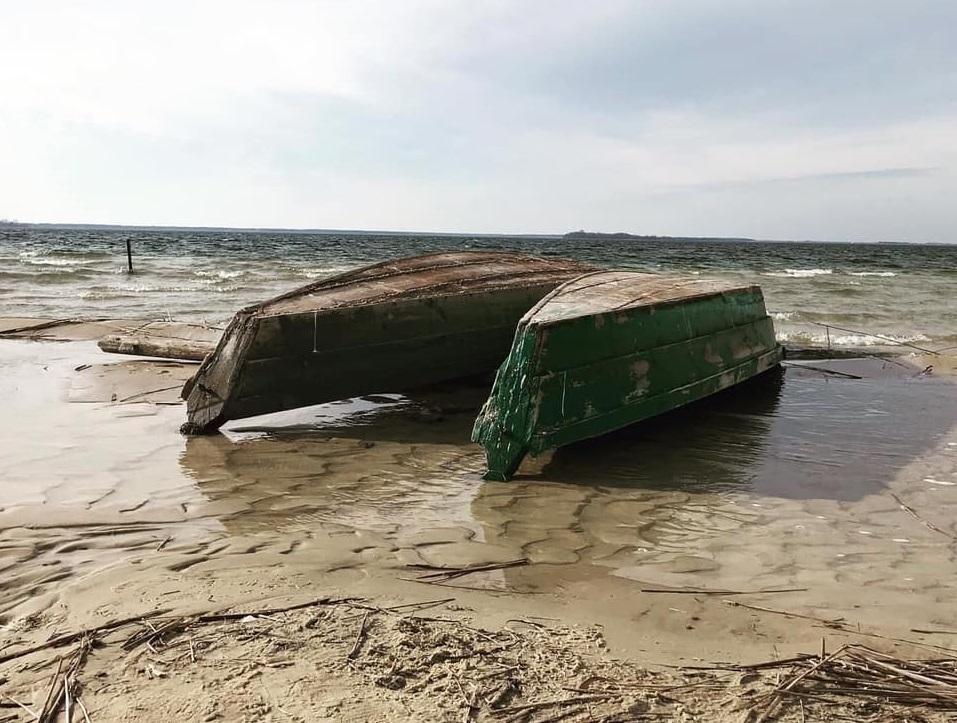 Чому висихає озеро Світязь і що з цим робити?