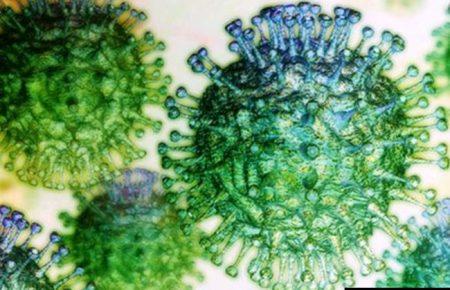 У світі зареєстровано понад 14,5 тисяч лабораторно підтверджених випадків коронавірусу — МОЗ