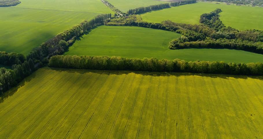 Ринок землі: хто, коли і скільки зможе купити