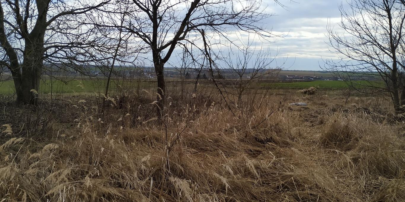 На Волині поліція розслідує вбивство благородного оленя