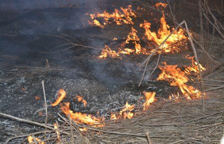 Обстріл під Мар'їнкою спричинив масштабну пожежу