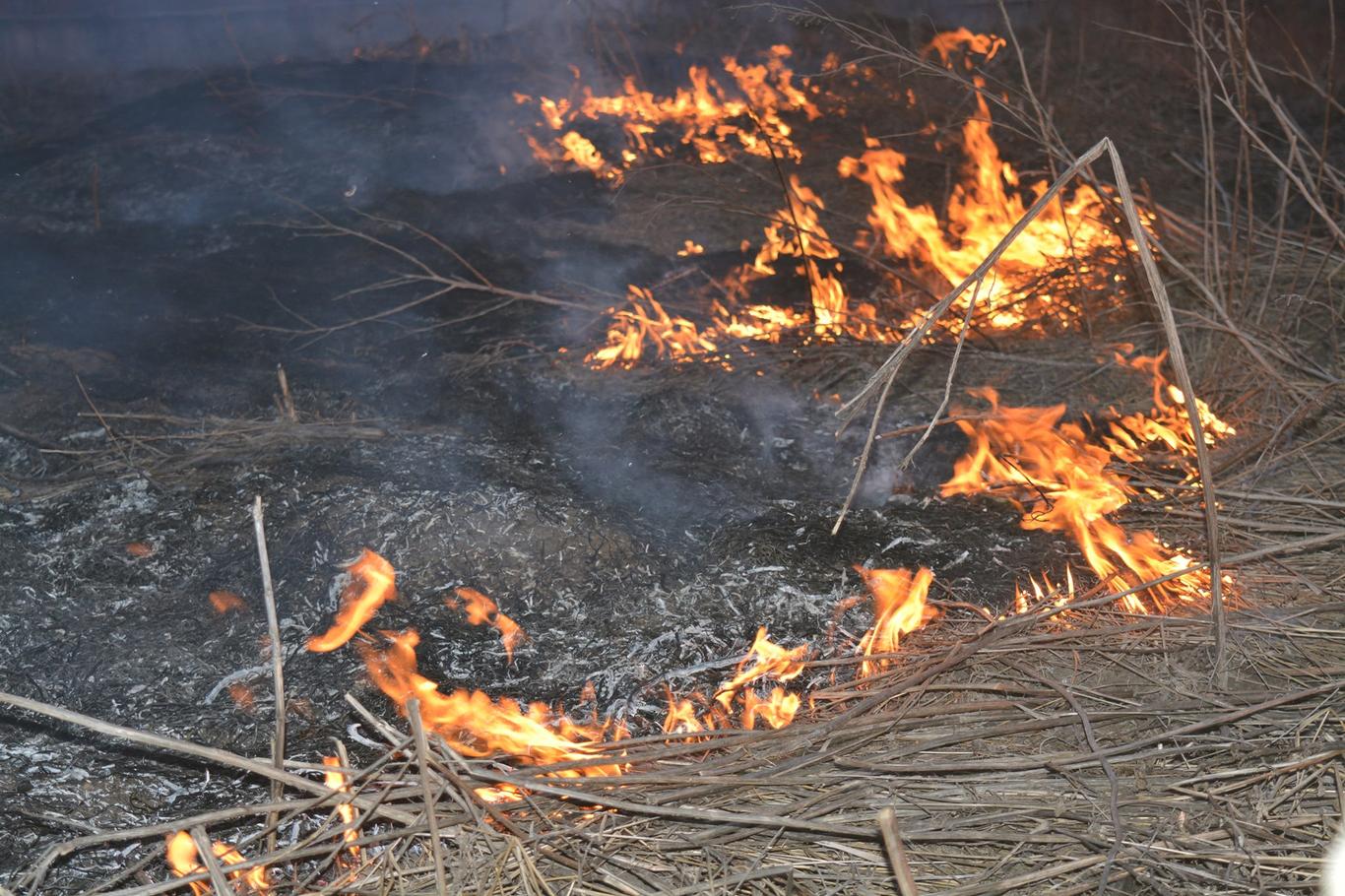 Обстріл під Мар'їнкою спричинив масштабну пожежу