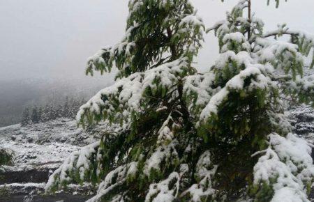 У Карпатах випало понад метр снігу