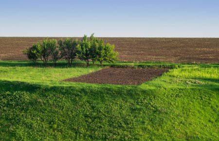 Фактично продаватися земля почне з 2024 року, коли її зможуть купувати юрособи — Сластьон