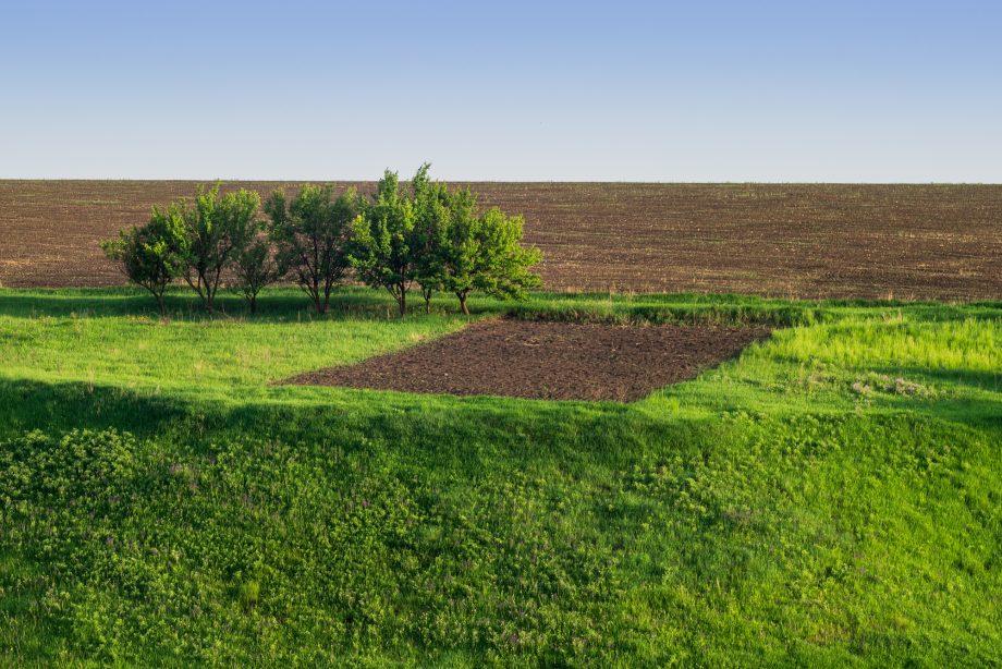 Фактично продаватися земля почне з 2024 року, коли її зможуть купувати юрособи — Сластьон