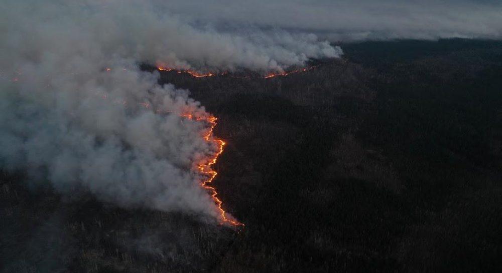 Пожежі у Чорнобильській зоні: близько 1,5 млн грн коштує один день гасіння