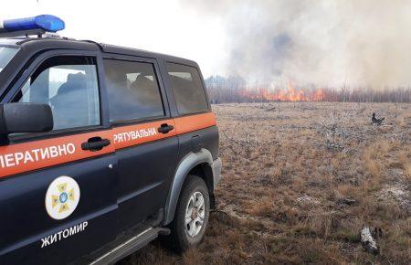 У Житомирській області спалахнула нова лісова пожежа