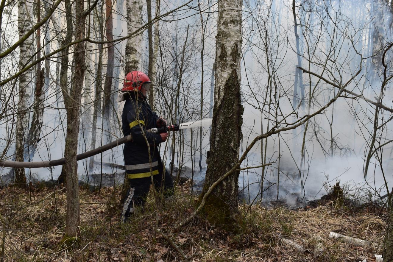 У Чорнобильській зоні та на Житомирщині продовжують гасити тління трави та деревини