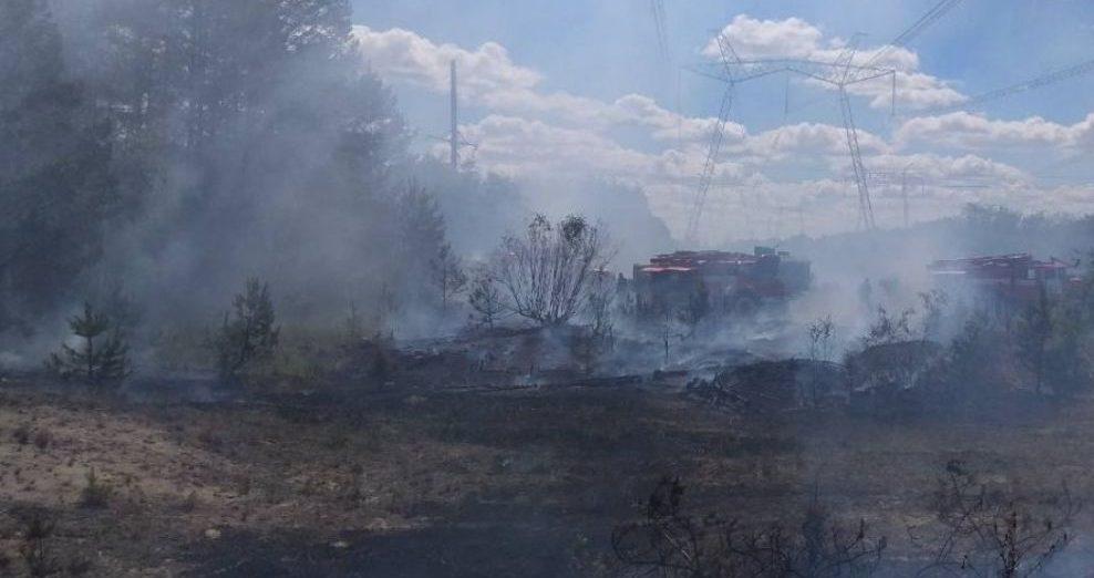 Гасіння пожежі у Чорнобильській зоні та посилення карантину в Ізраїлі: головні новини ночі