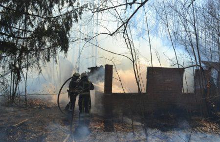 Забруднене від пожеж повітря із зони відчуження потрапить до Києва, але загрози не становитиме