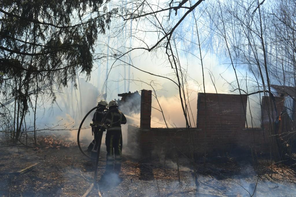 Забруднене від пожеж повітря із зони відчуження потрапить до Києва, але загрози не становитиме