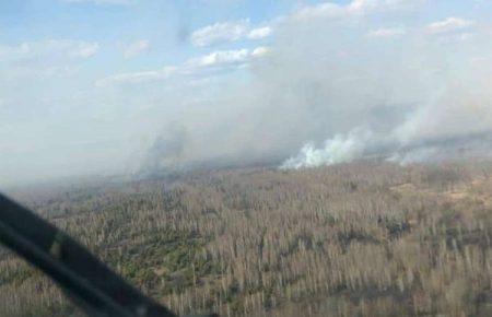 Правоохоронці затримали чоловіка, який спричинив пожежу в зоні відчуження