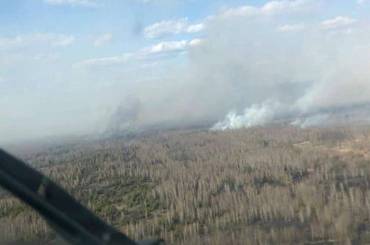 Правоохоронці затримали чоловіка, який спричинив пожежу в зоні відчуження