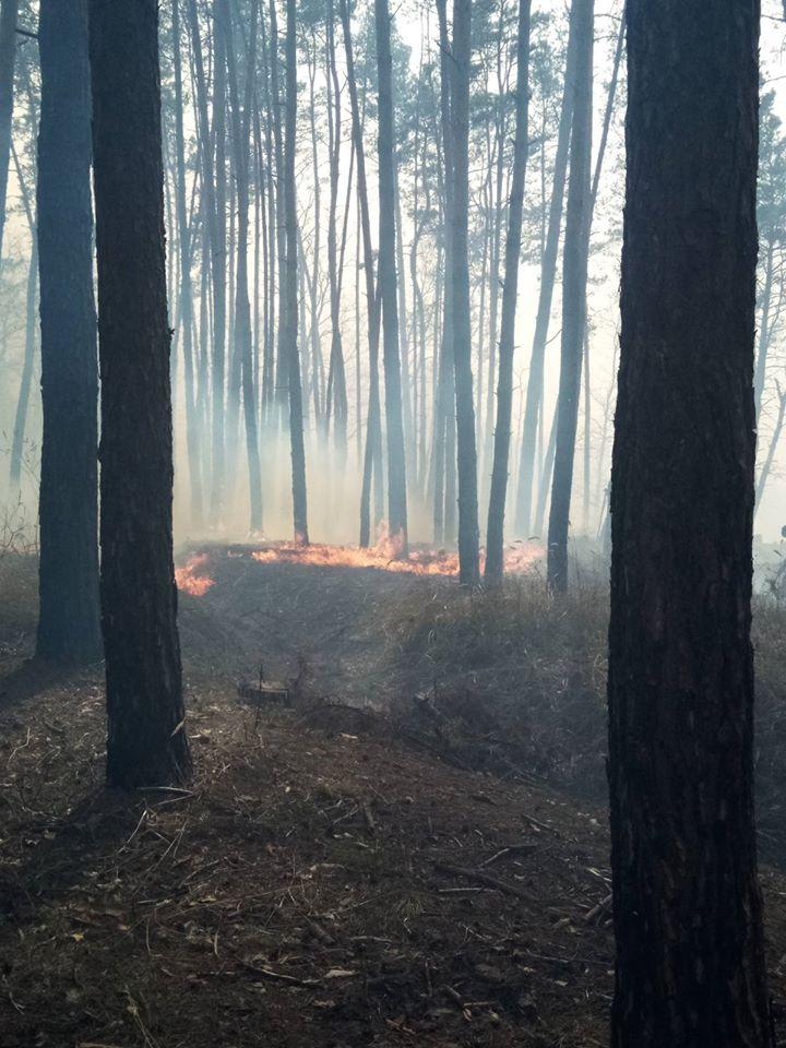 У Києві та передмісті зафіксували 37 пожеж