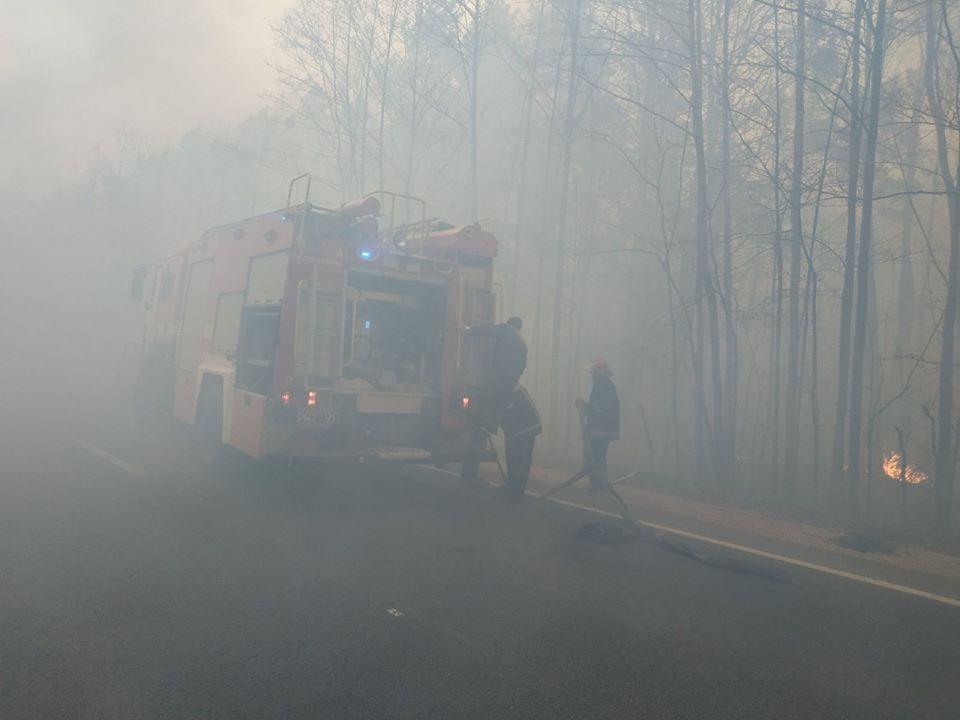 У Чорнобильській зоні відчуження гасять тління торф’яників, на Житомирщині — лісову пожежу