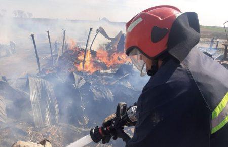 Уряд надасть фінансування людям, які постраждали від пожеж — Єрмак
