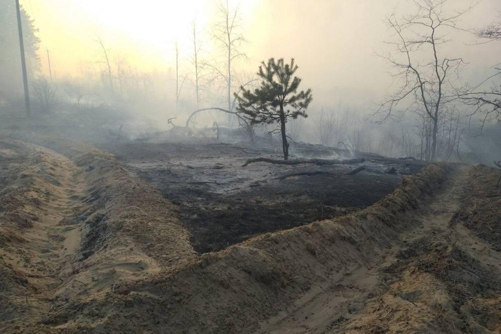 У Чорнобильській зоні продовжують гасити осередки тління