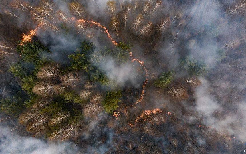 У Зоні відчуження продовжують гасити 4 осередки пожеж