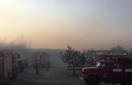 На Чернігівщині пожежа охопила 200 гектарів лісу (фото)