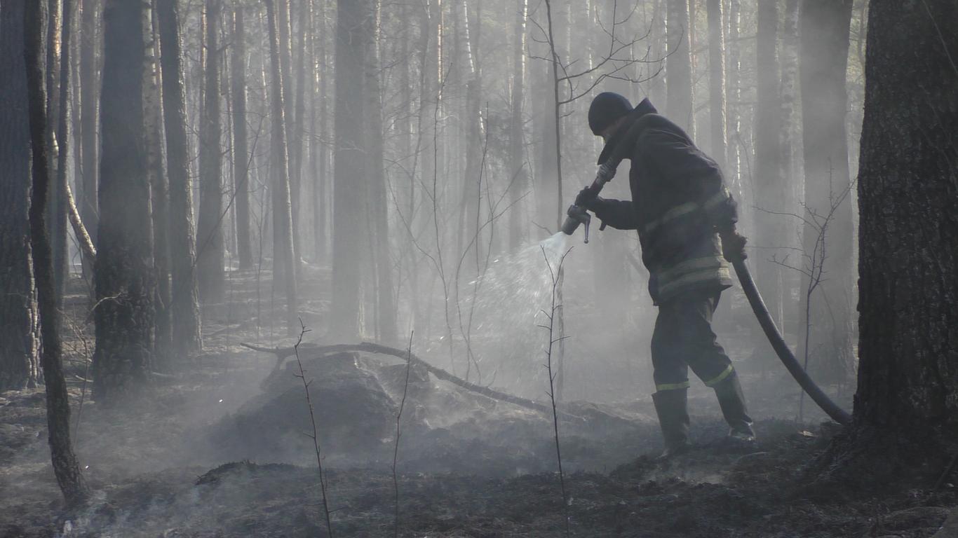 У Чорнобильській зоні та на Житомирщині продовжують гасити осередки тління