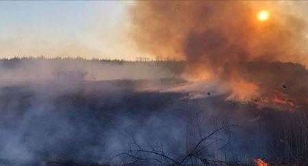 К тушению пожаров в Чернобыльской зоне привлекли более 300 человек и авиацию — ГСЧС