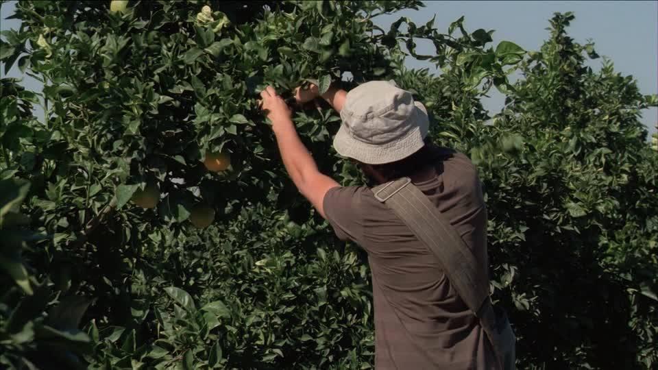 Держава ставиться до громадян, як до кріпаків — Кафтан про заборону виїзду заробітчан закордон