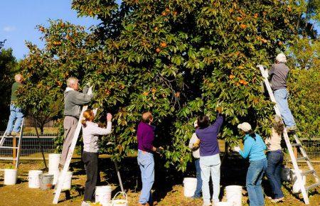 Я уверен, что через 2-3 недели страны Европы начнут открываться для заробитчан — Воскобойник