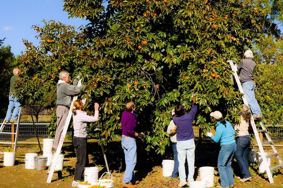 Я уверен, что через 2-3 недели страны Европы начнут открываться для заробитчан — Воскобойник