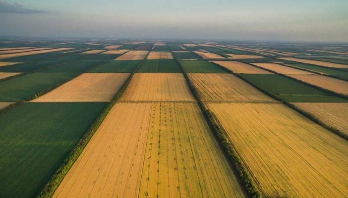 Нардепы разблокировали подписание закона о рынке земли в Украине