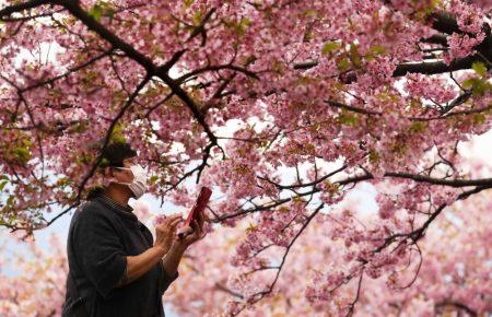 В Украине от коронавируса выздоровели более 5 600 человек, умерли — 548 — Минздрав