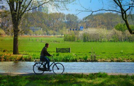 COVID-19 і тварини, фінансування ВООЗ, подорожі велосипедом — огляд новин