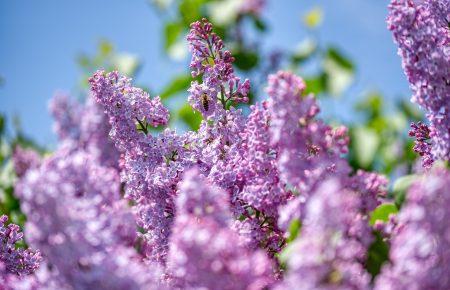 Курс валют та прогноз погоди в Україні на 19 травня