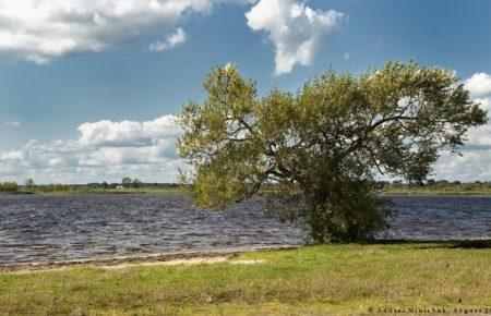 У трьох західних областях можливе затоплення через вихід води з річок на заплаву