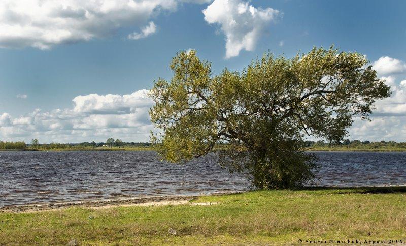 У трьох західних областях можливе затоплення через вихід води з річок на заплаву