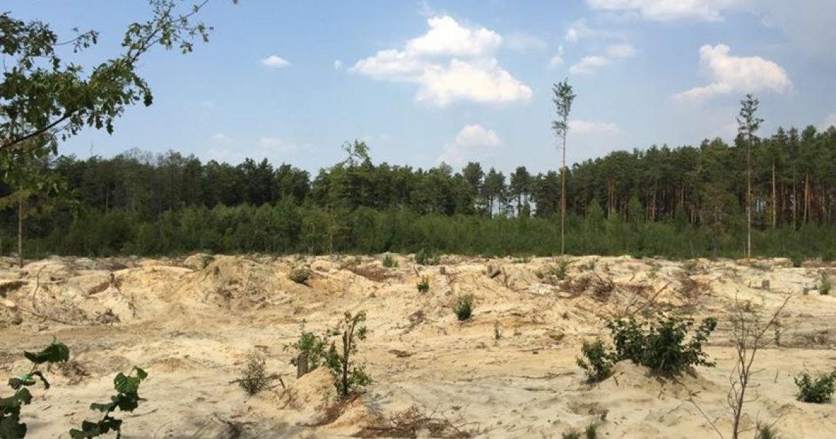 У Рівненській області на аукціон виставили дві ділянки для видобутку бурштину